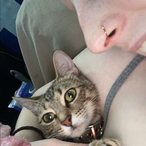 Meet your Posher, Levi